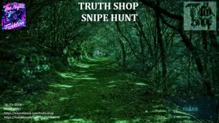 Truth Shop Radio : Live 24/7 Original Electronic Music