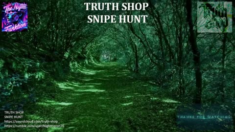 Truth Shop Radio : Live 24/7 Original Electronic Music