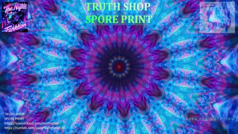 Truth Shop Radio : Live 24/7 Original Electronic Music