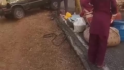 🚗😱🤣 Passenger Car Flips — People Upright It and It Drives Off by Itself!