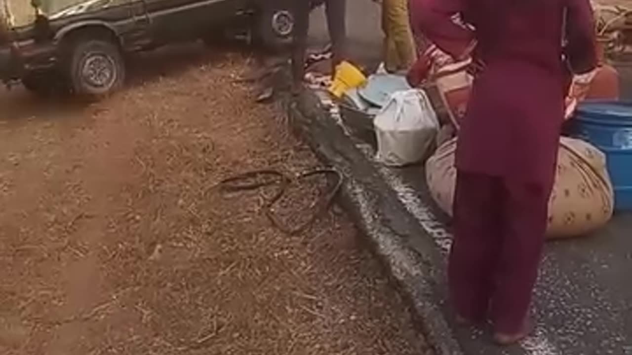 🚗😱🤣 Passenger Car Flips — People Upright It and It Drives Off by Itself!