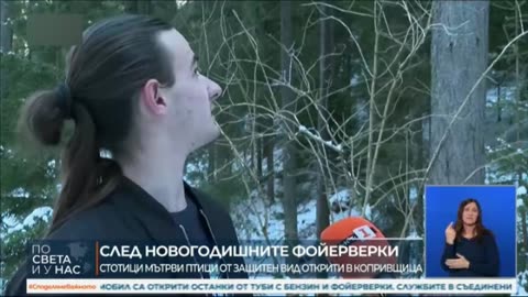 Новогодишни фойерверки и близо 600 мъртви птици в Копривщица
