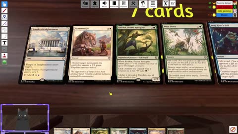 time to bet my hunsband and friend on magic gathering.