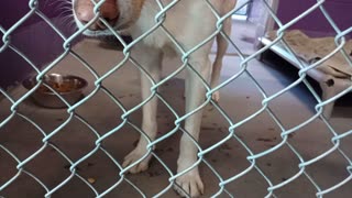 VID_20251004_151851686