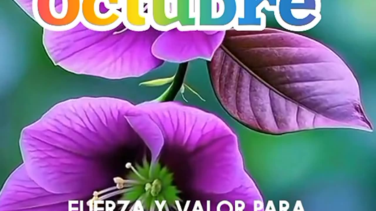 PRIMERO DE OCTUBRE.