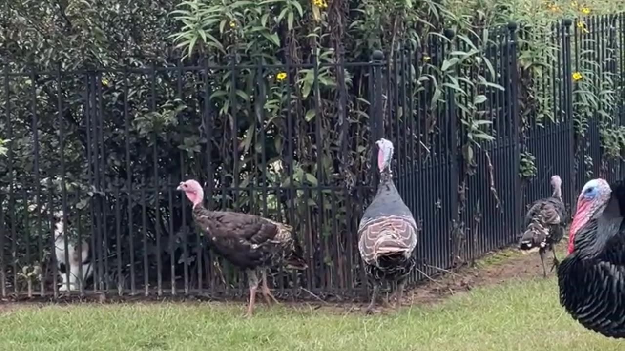 Flowers are great Snacks!!!