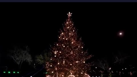 MERRY CHRISTMAS! President Donald Trump