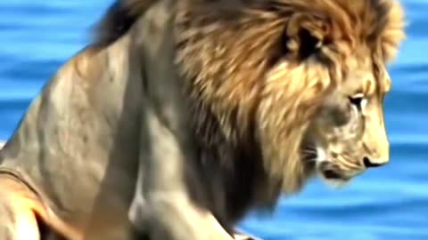 Is the king in danger