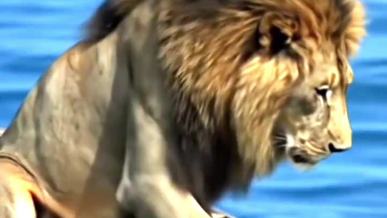 Is the king in danger