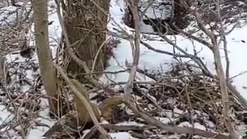 Ukraine Russia war combat/related footage 12/7/2025