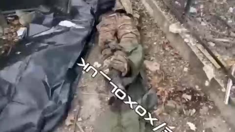 War in ukraine