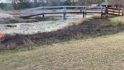 ASMR Burning Brush Around Our Pond. Lots of Fire!