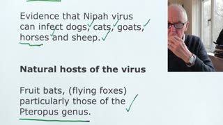 Is Nepah visus the next pandemic