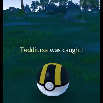 Pokémon GO-Shiny Teddiursa