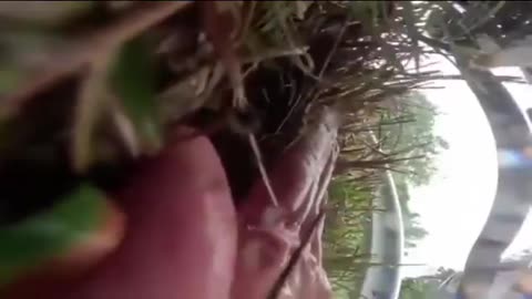 ⚠️Graphic: Motorcycle Accident‼️instagrammer “Dancingmoto” gets run over by cop