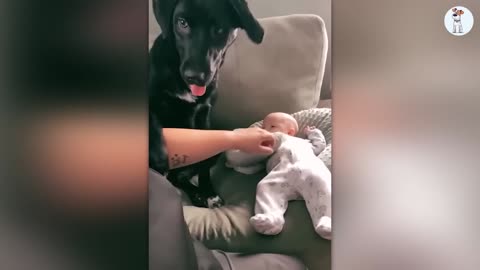 Brave Dog Saves Human 💪 | Heartwarming & Heroic Viral Video 🐾