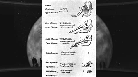 Происхождение человечества. Докукментальный фильм