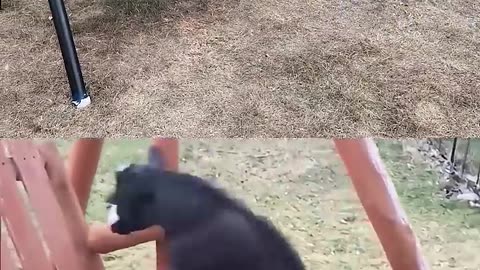 ???!!!.....