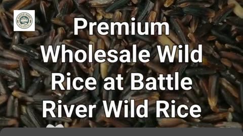 Wholesale Wild Rice: Premium Quality at Great Prices