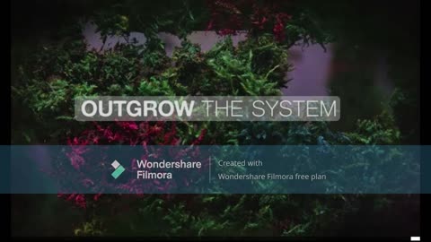 OUTGROW CYLENT ZAM MIX