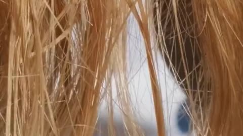 Boost Hair Growth Fast: Proven Tips for Stronger, Thicker Hair