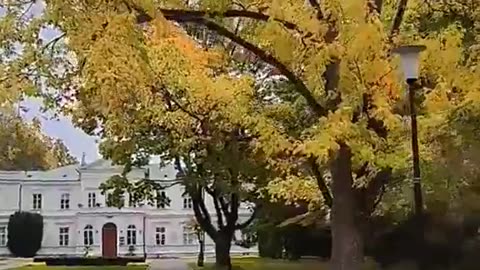 Uśmiechnięta Warszawa