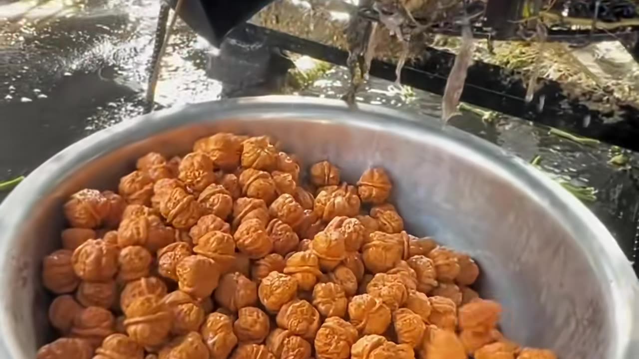 ✨ #satisfying #machine #in #action #foryou | FeedMyCuriosity