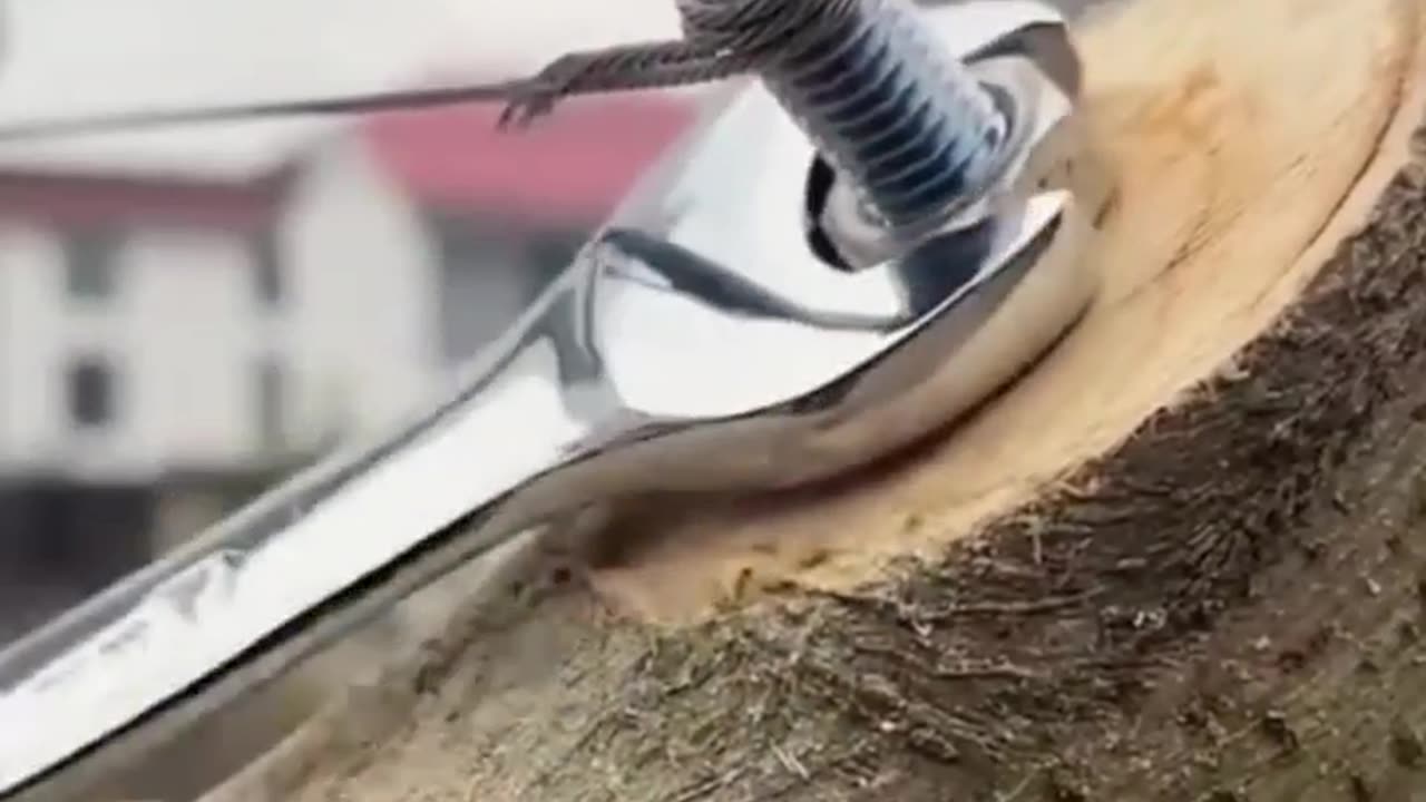 Interesting Tricks