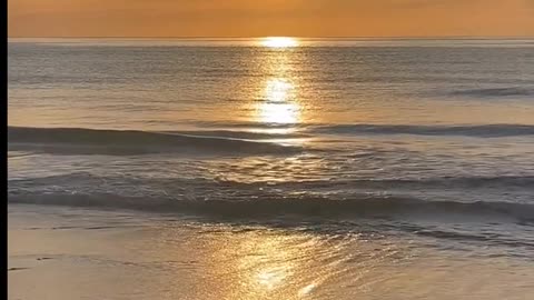 Daily Horoscope | Leo 🌟