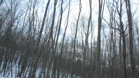 Taking a countries president may not go well for the US