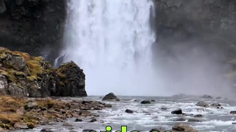 😊 159 LA GRATITUD MULTIPLICA LO RECIBIDO Salmo 107:1 😊