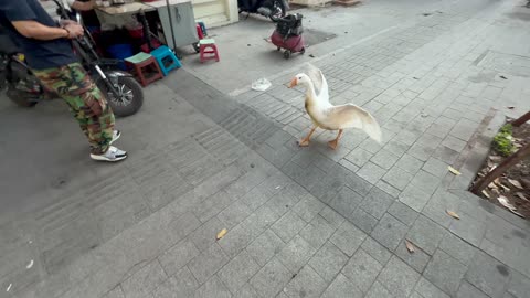 FuKu Coffee in Hanoi, Vietnam