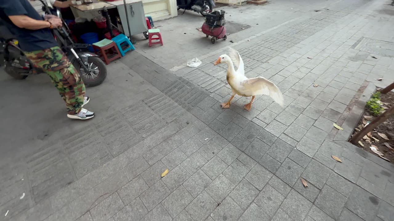 FuKu Coffee in Hanoi, Vietnam