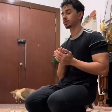 The cat's reaction to Islamic prayer.