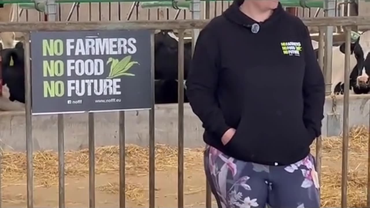 Farmers in Denmark forced to feed poison to their cows