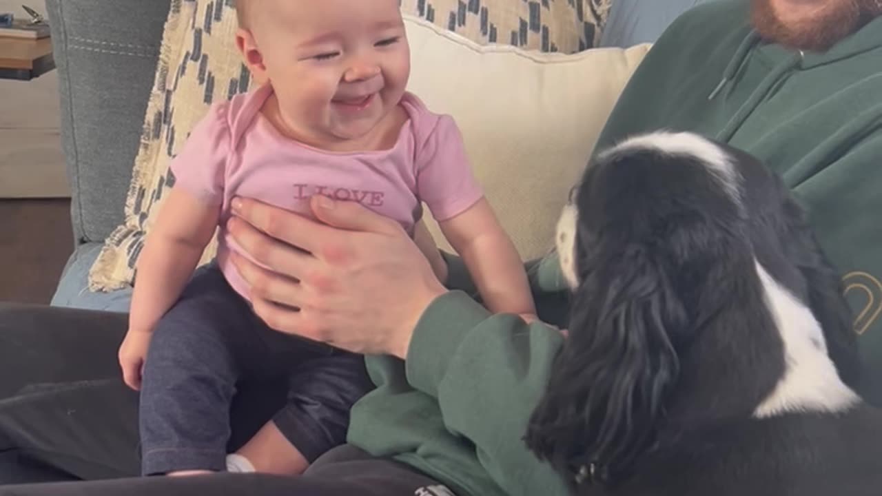 Baby Laughs At Barking Dog