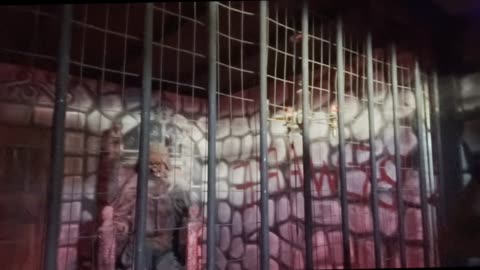 HumanElias90 At Pumpkin Farm (Live Action)