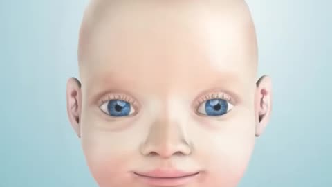 Sinus Rinse Procedure 3D Animation