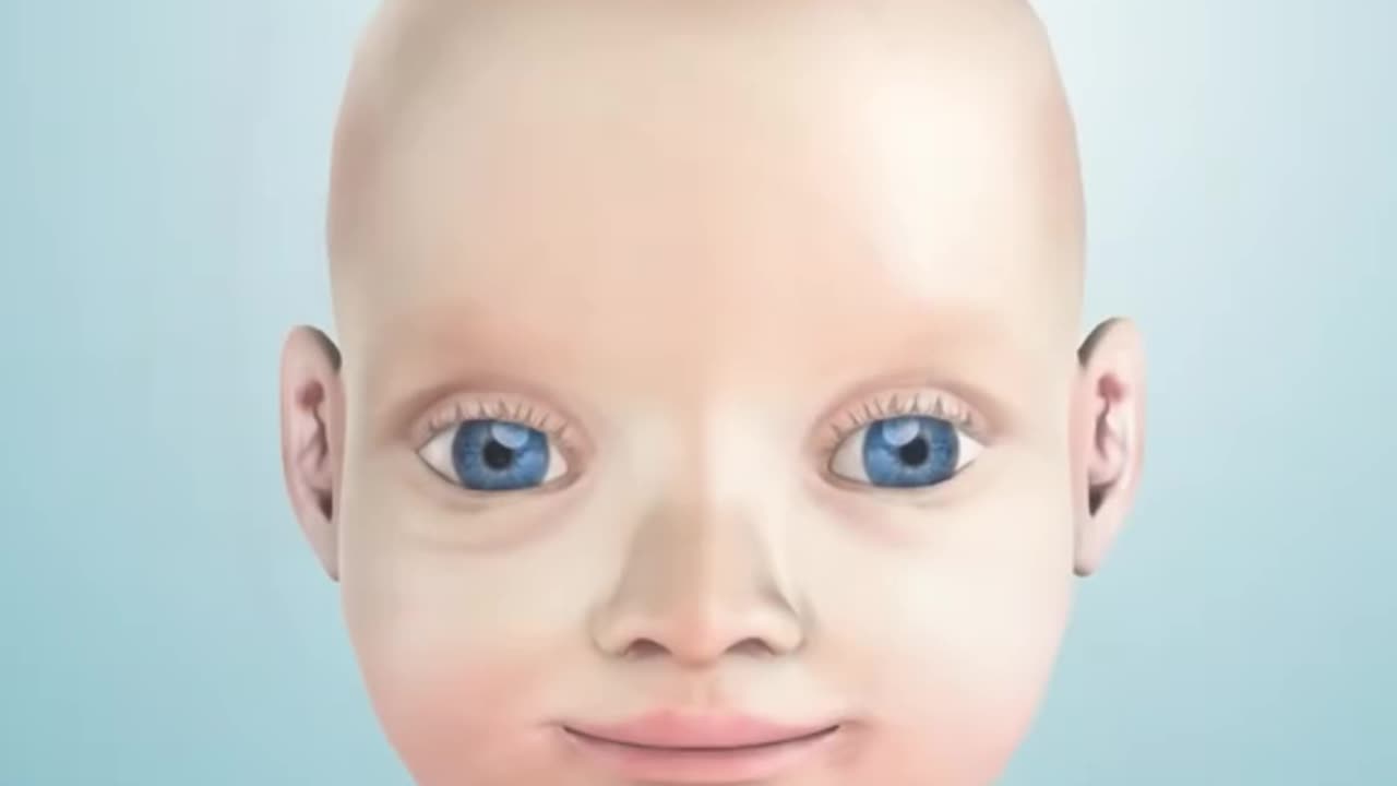 Sinus Rinse Procedure 3D Animation