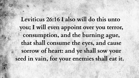 Martus Ministry -464- Two blamed