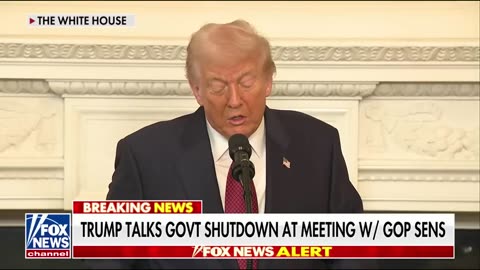 ‘A BIG FACTOR’: Trump’s FIERY take on why Republicans lost BIG