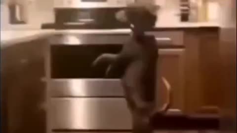 Woe Day 116. I am in the ark. Waiting for GOD to open the Door for a spring/summer Pentecost rapture