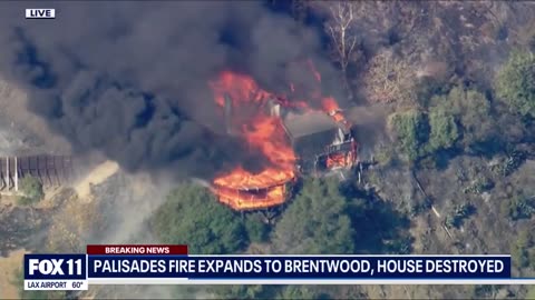 🔥🔥🔥🔥 The fires have REACHED Brentwood where Kamala Harris, Lebron James, Arnold Schwarzenegger