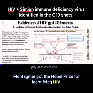 They murdered the scientist that discovered HIV in the vaccines....