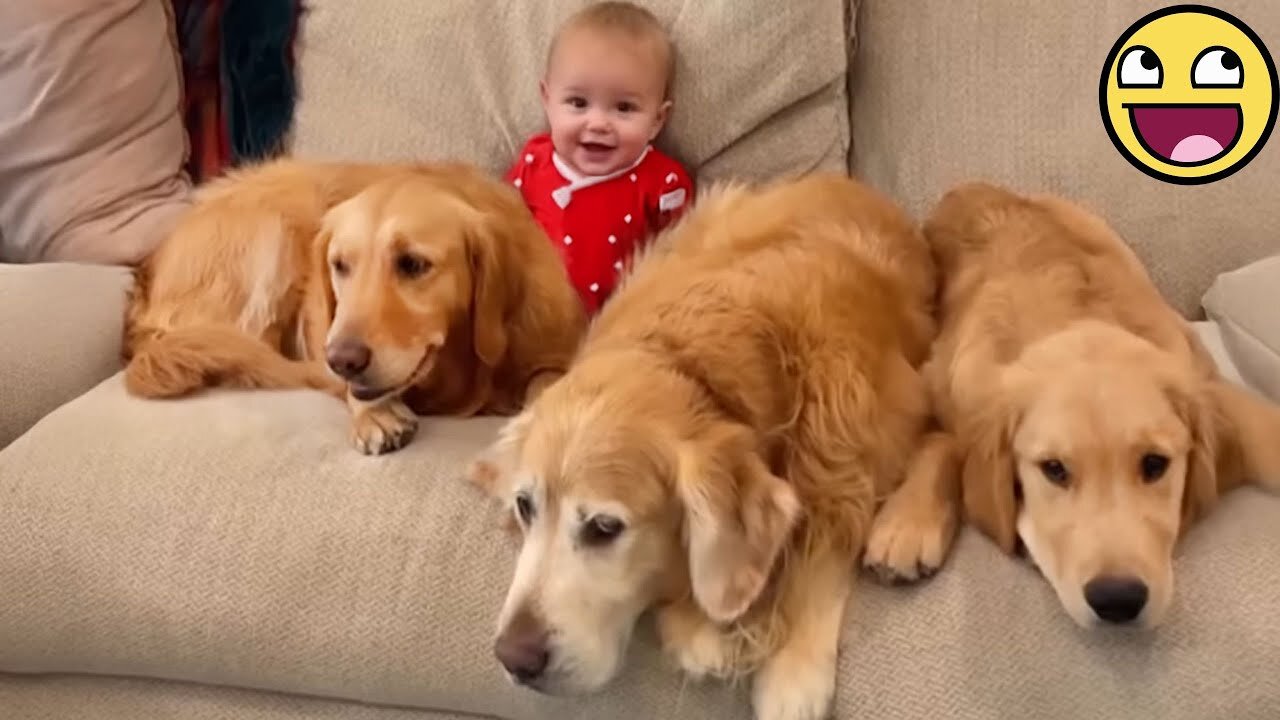 Dogs Protecting, Loving & Growing Up With Babies 🐾❤️👶