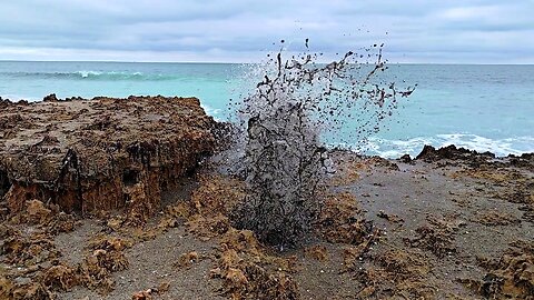 Blowing Rocks, Florida II
