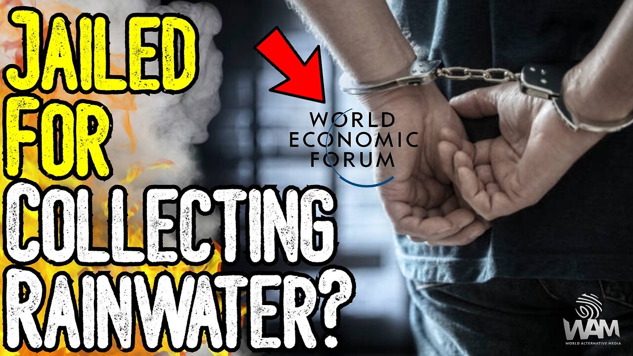 JAILED FOR COLLECTING RAINWATER? - "You Will Own Nothing!" - The Truth About Private Property