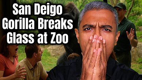Scary Incident at San Diego Zoo: 400-Pound Gorilla Breaks Glass Wall Enclosure in Front of Visitors