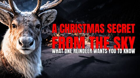 A Christmas SECRET from the SKY | What ONE Reindeer Wants YOU to Know