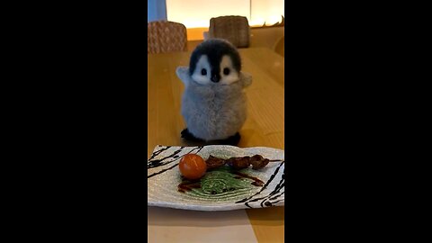 Heart-Melting Moment: Hand-Feeding a Baby Penguin